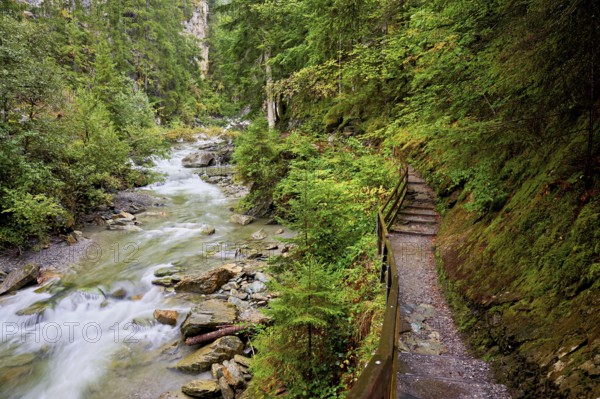 Wooden walkway on the Diosaz mountain river in the gorge, Gorges de la Diosaz, Les Houches, Chamonix-Mont-Blanc, Haute-Savoie, France