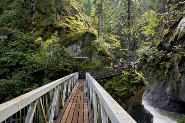 Wooden bridge over the Diosaz mountain river in the gorge, Gorges de la Diosaz, Les Houches, Chamonix-Mont-Blanc, Haute-Savoie, France