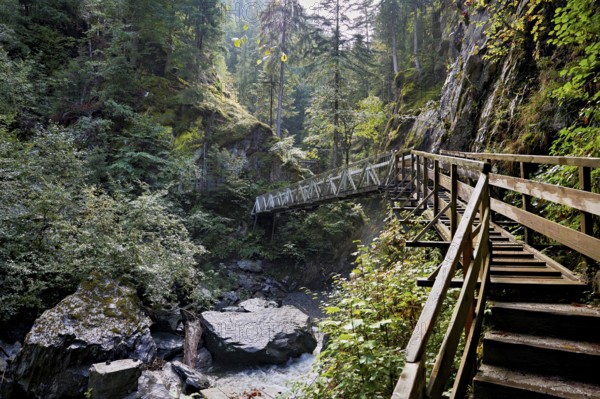 Wooden walkway over the Diosaz mountain river in the gorge, Gorges de la Diosaz, Les Houches, Chamonix-Mont-Blanc, Haute-Savoie, France