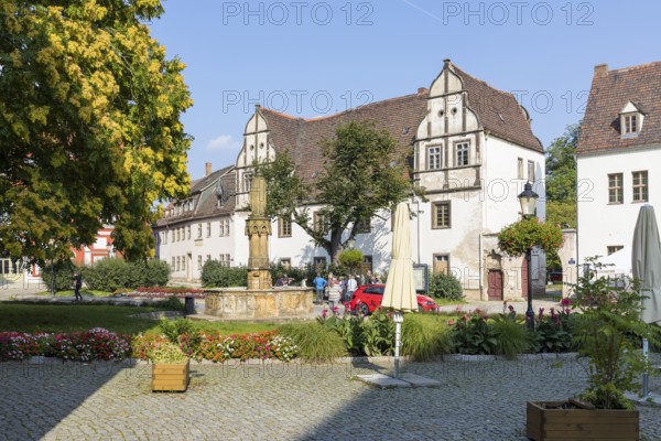 Cathedral Square with historic buildings and Ekkehard fountain, Naumburg (Saale), Saxony-Anhalt, Germany