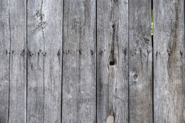 Detail of an old wooden door, texture, background, Münsterland, North Rhine-Westphalia, Germany