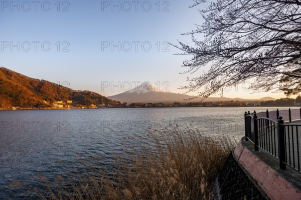 Kawaguchi Lake waterfront, view of Mount Fuji volcano at sunset, Yamanashi Prefecture, Japan
