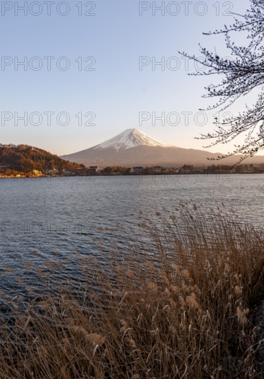 Lake Kawaguchi, view of Mount Fuji volcano at sunset, Yamanashi Prefecture, Japan