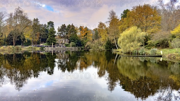 View in autumn across pond at Ehrenmal Pond in the Wittringer Wald recreation area, Gladbeck, North Rhine-Westphalia, Germany