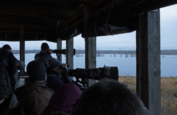 Bird watchers in the observation tower, Tister Bauernmoor, Tiste, Samtgemeinde Sittensen, Lower Saxony, Germany