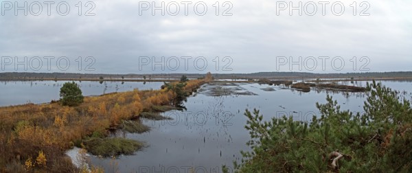 View from the observation tower, Photomerge, Tister Bauernmoor, Tiste, Samtgemeinde Sittensen, Lower Saxony, Germany