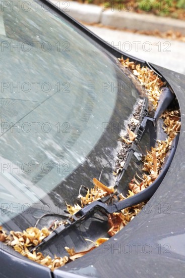 Windshield of a car in autumn, Germany