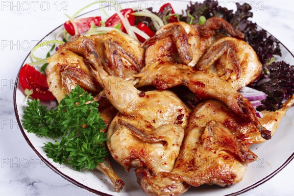 Baked quail, served on a plate with crispy lettuce leaves, fresh tomatoes and herbs, on a white plate, homemade