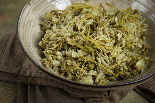 Jonjoli, Colchian klekachka, Georgian appetizer, pickled jonjoli, no people