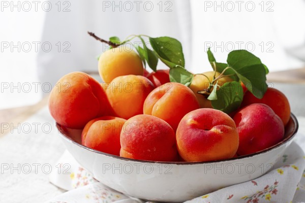 Fresh apricots in a bowl, on a bright table, natural light, top view, no people