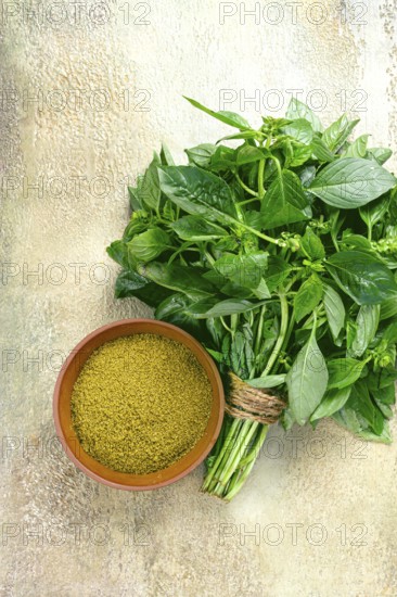 Ground green basil, in a ceramic bowl, with a bouquet of fresh green basil, on the table, top view, no people