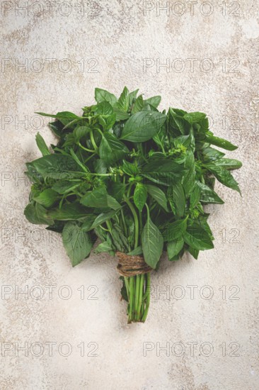 Bouquet of fresh green basil, on the table, top view, no people