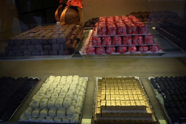 Showcase full of finely arranged Belgian chocolates in various types and colors, appetizingly presented, Bruges, West Flanders, Flemish Region, Belgium