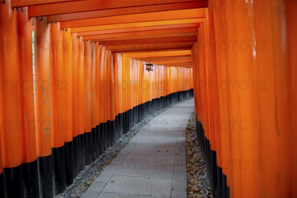 Walk through hundreds of red traditional torii gates, Fushimi Inari Taisha, Shinto Shrine, Fushimi Inari-taisha Okusha Hohaisho, Kyoto, Japan