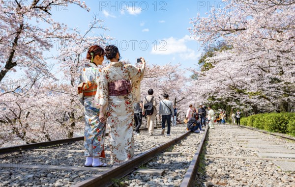 Keage Incline, two Japanese women wearing kimonos taking selfies on old tracks, cherry trees blooming on disused tracks, Hanami, cherry blossoms in spring, Kyoto, Japan