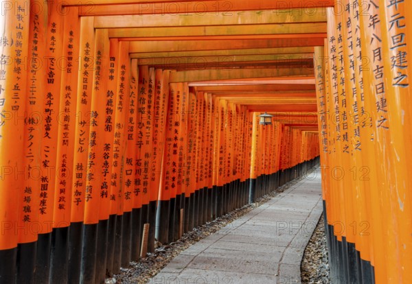 Walk through hundreds of red traditional torii gates, Fushimi Inari Taisha, Shinto Shrine, Fushimi Inari-taisha Okusha Hohaisho, Kyoto, Japan