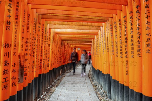Visitors on a journey through hundreds of red traditional torii gates, Fushimi Inari-taisha, Shinto shrine, long exposure, motion blur, Fushimi Inari-taisha Okusha Hohaisho, Kyoto, Japan