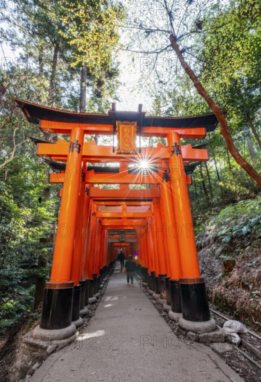 Visitors on a journey through hundreds of red traditional torii gates, Fushimi Inari taisha, Shinto shrine, long exposure, motion blur, sun star, Fushimi Inari-taisha Okusha Hohaisho, Kyoto, Japan