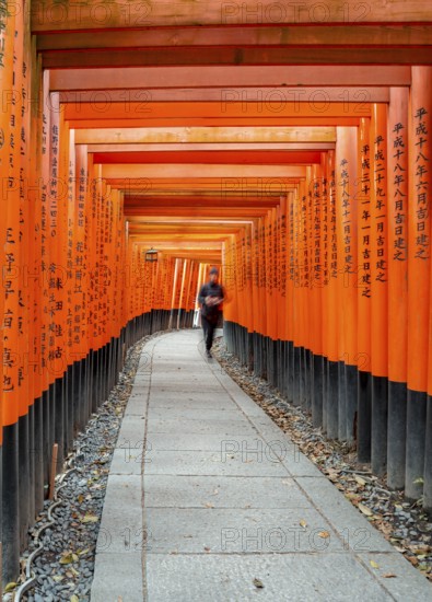 Visitors on a journey through hundreds of red traditional torii gates, Fushimi Inari-taisha, Shinto shrine, long exposure, motion blur, Fushimi Inari-taisha Okusha Hohaisho, Kyoto, Japan