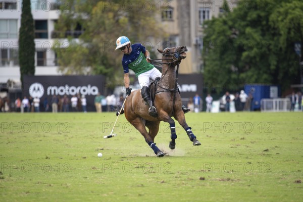 Portrait of Adolfo Cambiaso known as Poroto from Team Natividad Dolfina at the 132nd Argentine Open Polo Championship (Spanish Campeonato Argentino Abierto de Polo), Zeta Kazak playing against Natividad Dolfina, Buenos Aires, Argentina