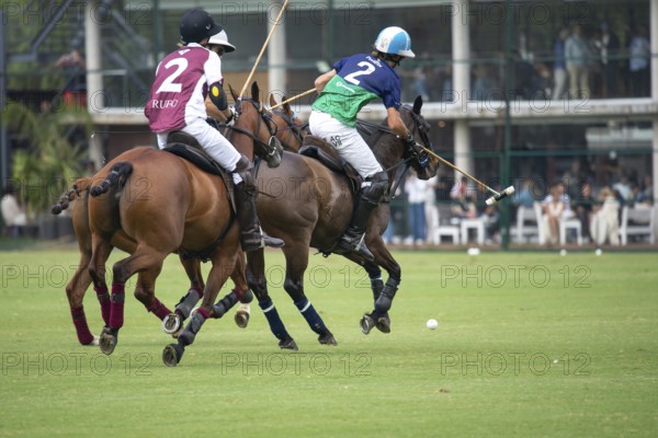 Adolfo Cambiaso known as Poroto from Team Natividad Dolfina hits the ball in the game against Zeta Kazak at the 132nd Argentine Open Polo Championship (Spanish Campeonato Argentino Abierto de Polo), Buenos Aires, Argentina