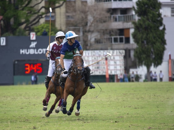Scene at the 132nd Argentine Open Polo Championship (Spanish Campeonato Argentino Abierto de Polo), Adolfo Cambiaso from the Natividad Dolfina team hits the ball in the game against Zeta Kazak, Buenos Aires, Argentina
