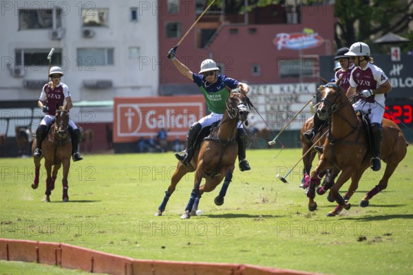 Scene at the 132nd Argentine Open Polo Championship (Spanish Campeonato Argentino Abierto de Polo), Camilo Castagnola from the Natividad Dolfina team hits the ball in the game against Zeta Kazak, Buenos Aires, Argentina