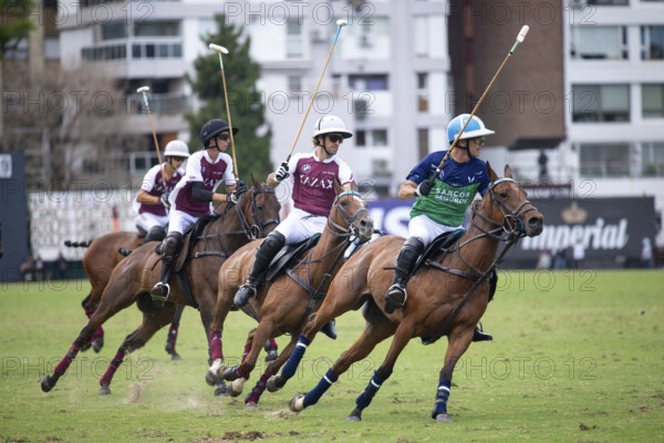 Dynamic scene at the 132nd Argentinean Open Polo Championship (Spanish Campeonato Argentino Abierto de Polo), match between Zeta Kazak and Natividad Dolfina with Adolfo Cambiaso on the far right, Buenos Aires, Argentina