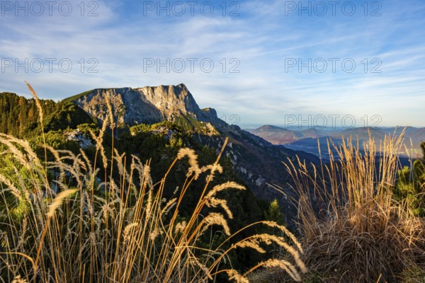 View from Rauhen Kopf to Untersberg, in front dry grass, Berchtesgaden Alps, Bischofswiesen, Berchtesgadener Land, Upper Bavaria, Bavaria, Germany