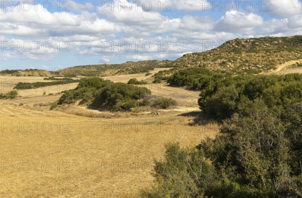 Farming landscape arable land with rocky outcrops, Los Bañales, Layana, Zaragoza proviene, Aragon, Spain