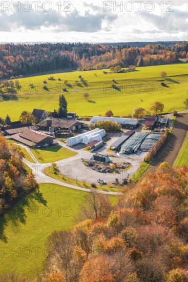 Rural farm surrounded by colorful autumn trees and extensive green meadows, Haselstaller Hof, Gechingen, Germany