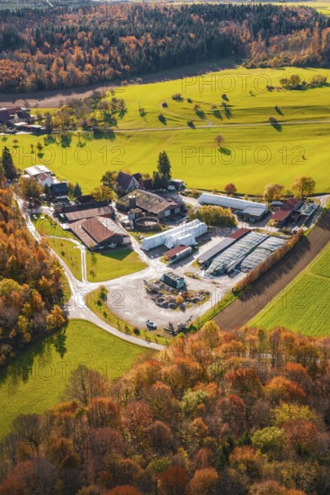 Farm surrounded by colorful autumn trees and green fields in an idyllic landscape, Haselstaller Hof, Gechingen, Germany