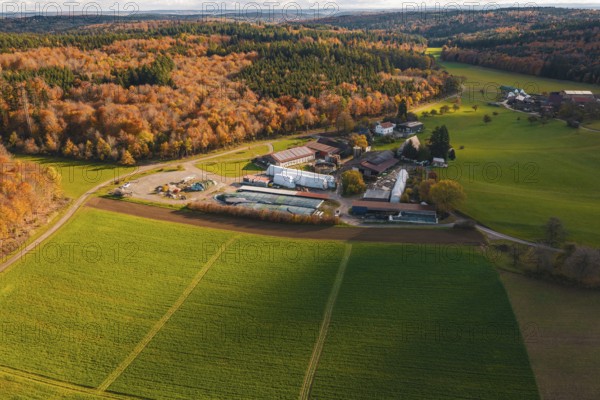Farm surrounded by green fields and autumn forests in a quiet landscape, Haselstaller Hof, Gechingen, Germany
