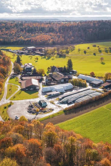 Rural scenery with a farm surrounded by colorful autumn trees and green meadows, Haselstaller Hof, Gechingen, Germany