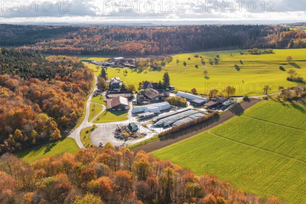 Wide landscape view with fields, forests with autumn leaves and hilly terrain under cloudy sky, Haselstaller Hof, Gechingen, Germany