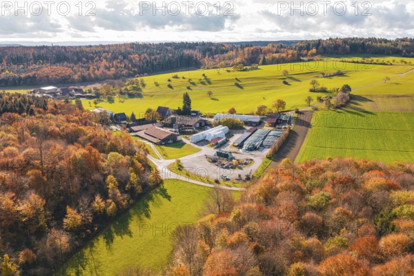 Autumn farm surrounded by green fields and colorful forests, Haselstaller Hof, Gechingen, Germany