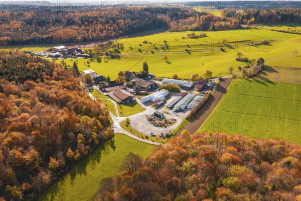 Farmhouse surrounded by autumn trees and vast green fields in rural peace, Haselstaller Hof, Gechingen, Germany