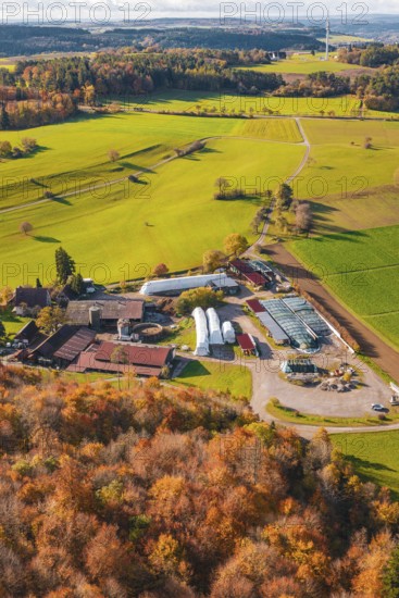 Farm between green fields and autumn trees in an idyllic landscape, Haselstaller Hof, Gechingen, Germany