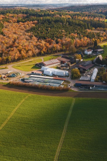 Farmhouse nestled in an autumn landscape with green fields and dense forests, Haselstaller Hof, Gechingen, Germany
