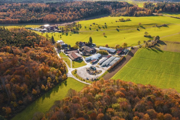 Idyllic farm surrounded by autumn trees and green fields, Haselstaller Hof, Gechingen, Germany