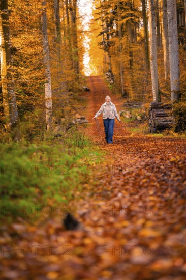 A person strolls along an autumn trail surrounded by colorful leaves, Gechingen, Calw district, Germany