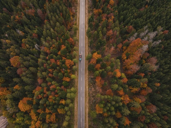 Aerial view of a straight road through an autumnal forest, Gechingen, Calw district, Germany