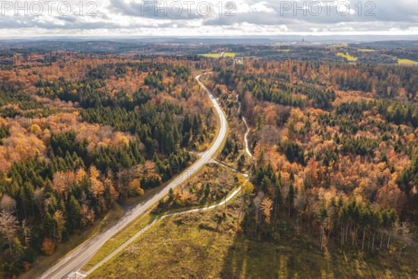 View of autumnal forests and fields with a meandering road, Gechingen, Calw district, Germany