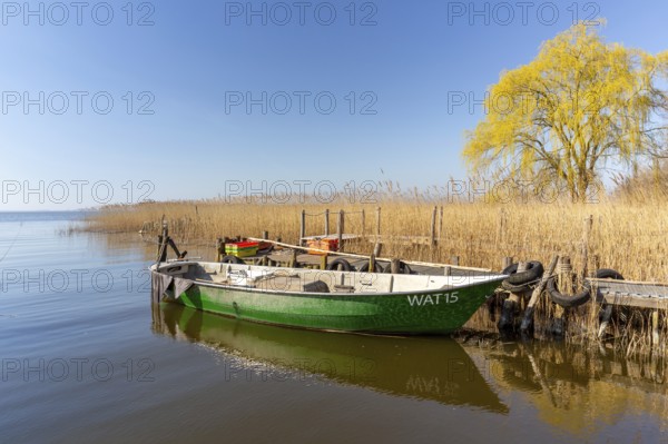 Fishing boat moored at wooden jetty at the Lieper Winkel peninsula near Rankwitz on Usedom island in the Baltic Sea, Mecklenburg-Vorpommern, Germany