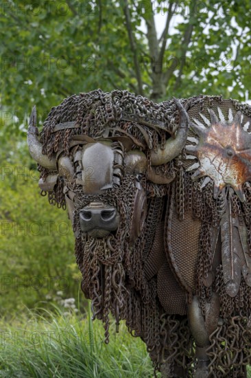 Close-up of life-size bison metal sculpture made out of discarded farm equipment, chains and bronze by American sculptor John Lopez