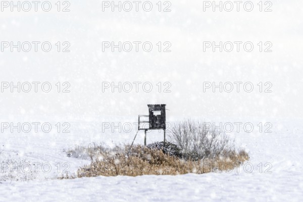 Raised hide, hunting blind, deerstand, deer stand in snow covered field during snow shower in winter