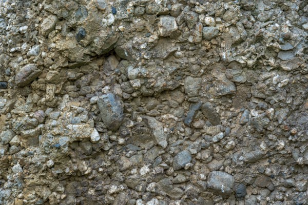 Close-up of conglomerate rock of menhir, standing stone showing clasts and matrix at Wéris, Luxembourg, Belgian Ardennes, Wallonia, Belgium