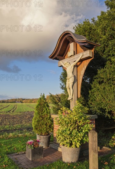 Wooden cross with Jesus figure against the backdrop of a rural landscape in sunlight, Münsterland, North Rhine-Westphalia, Germany