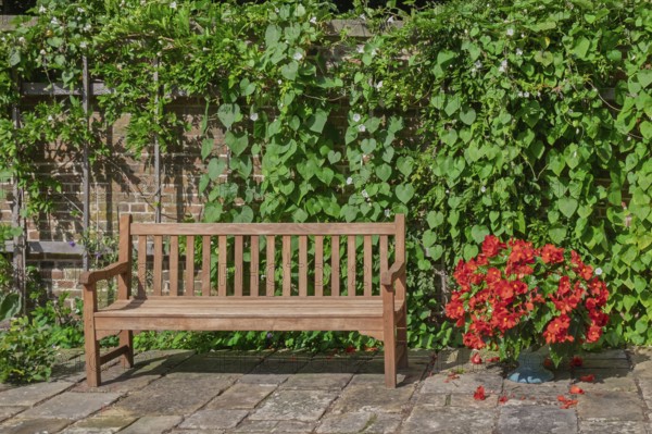 Wooden bench in front of a brick wall and lots of green plants, Münsterland, North Rhine-Westphalia, Germany