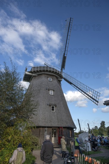 Historic windmill, now café, Ahrenshoop, Darß, Mecklenburg-Vorpommern, Germany